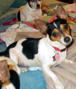 Buster2